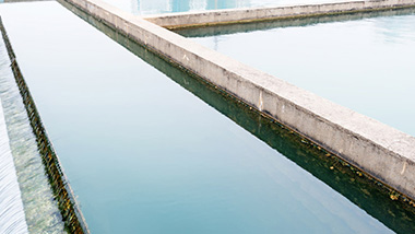 城市黑臭水體治理一般采用什么技術