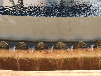 工業廢水處理有哪些原則需要遵守